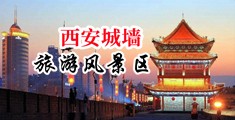 欧美操幼B中国陕西-西安城墙旅游风景区