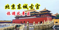 按摩小姐的大骚逼太紧了操起来真舒服中国北京-东城古宫旅游风景区